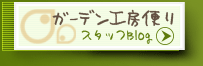 K[fH[Rւ@X^btuO