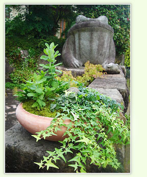 寄せ植え・箱庭の販売